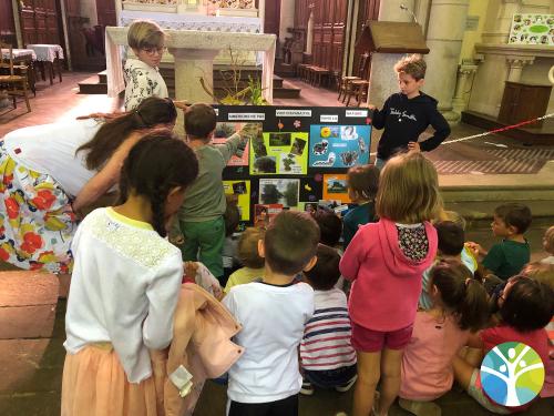 Laudato si : MSGS A